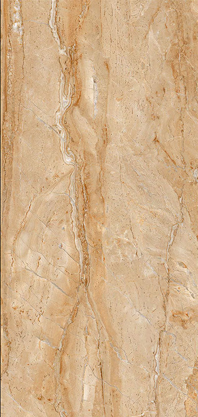 Amazon Dark Glossy 12x24 Wall Tile - NACS Collection
