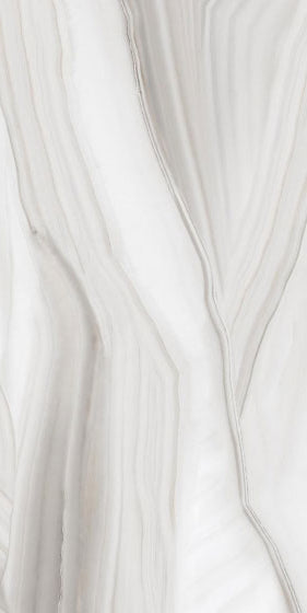 Antique Grey Glossy 24x48 Vitrified Tile - NACS Collection