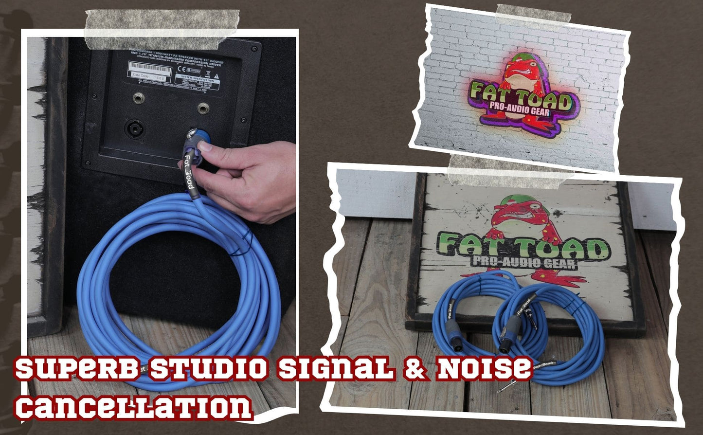 Speakon to 1/4" Male Cables (2 Pack) by FAT TOAD - 25 ft Professional Pro Audio Blue DJ Speaker PA Cord with Twist Lock Connector - 12 AWG Wire