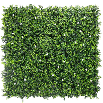 Sample Panel – White Flowering Boxwood Green Wall (Small Sample)
