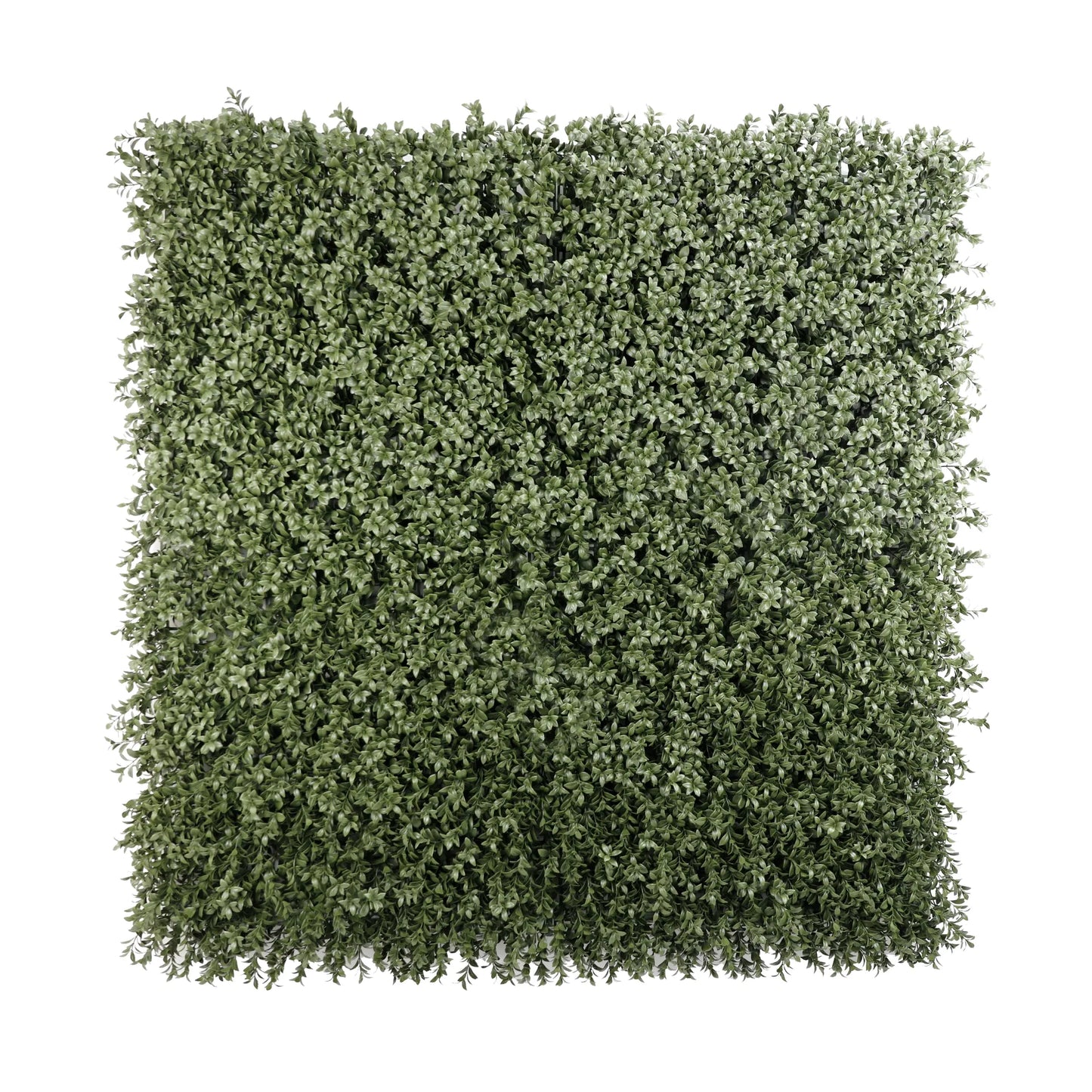 Dense Lush Boxwood Artificial Vertical Garden Green Wall Panel 40×40in 11 SQ FT – NFPA701 Fire Rated – UV Resistant – Commercial Grade