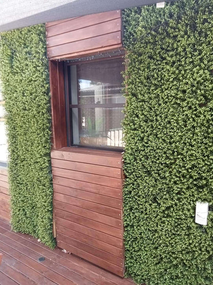 Sample Panel – Natural Boxwood Green Wall (Small Sample)
