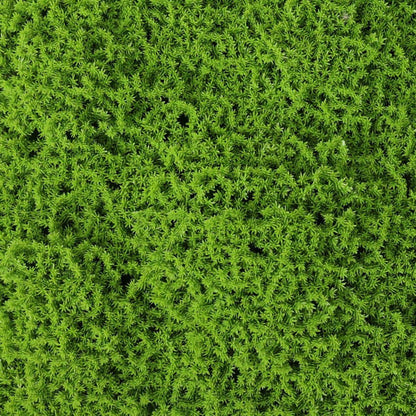 Evergreen Moss Artificial Green Wall Mat 33 SQ FT – UV Resistant – Commercial Grade (Clearance Price)