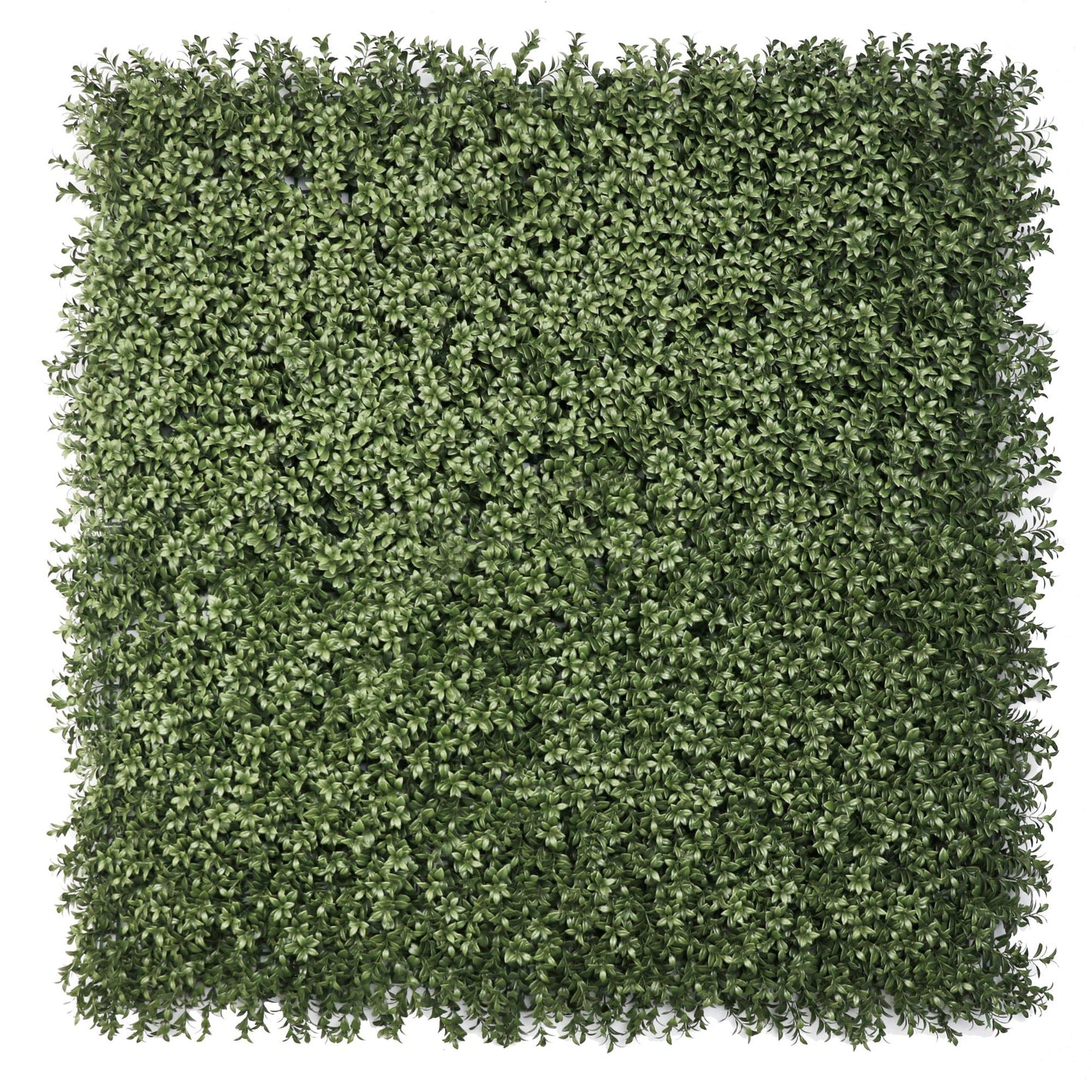 Dense Lush Boxwood Artificial Vertical Garden Green Wall Panel 40×40in 11 SQ FT – NFPA701 Fire Rated – UV Resistant – Commercial Grade