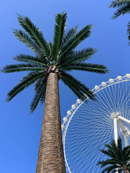Florida Palm Artificial Tree 13ft–23ft – UV Resistant (10–12 Week Lead Time)