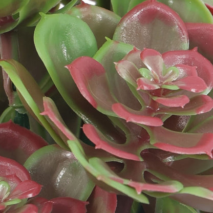 Red and Green Aeoniums Succulent Artificial Topiary Set of 5 11.8in – UV Resistant