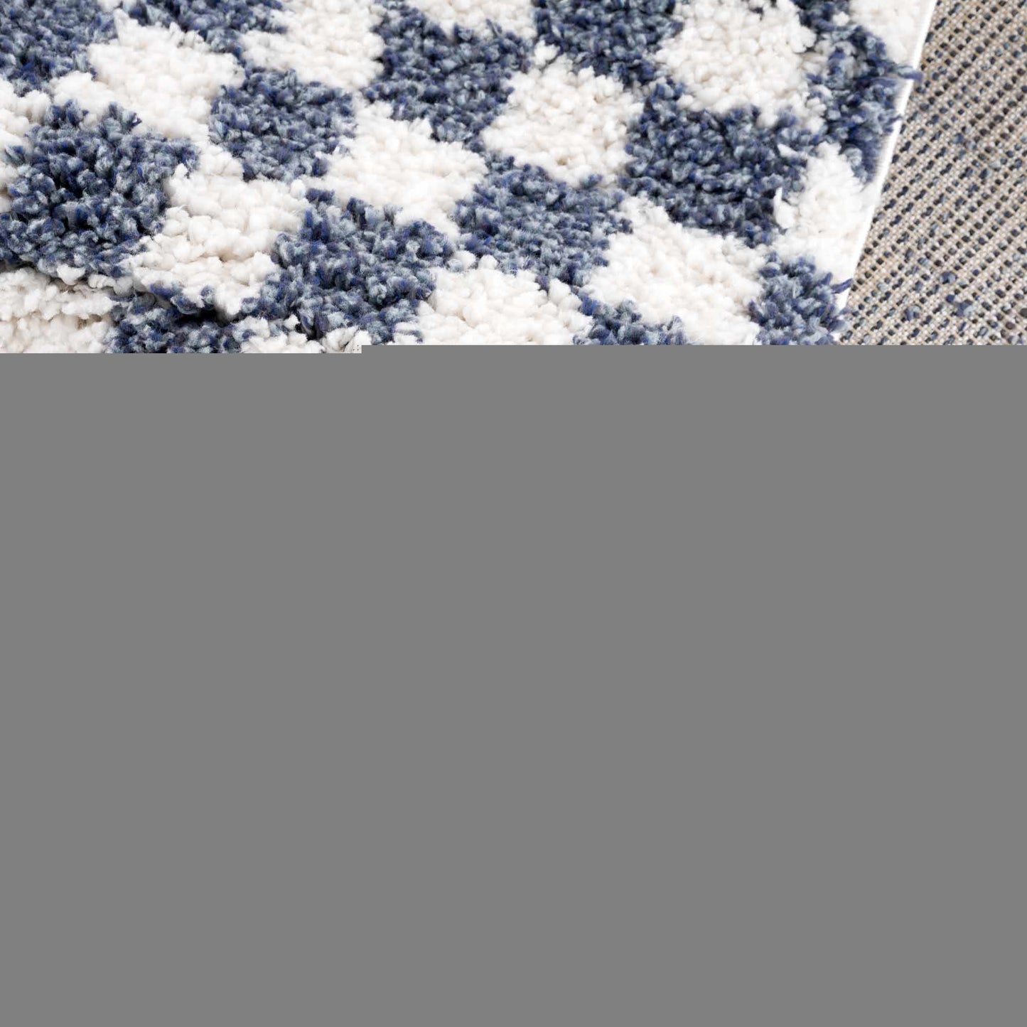 Kieu Blue & White Checkered Area Rug