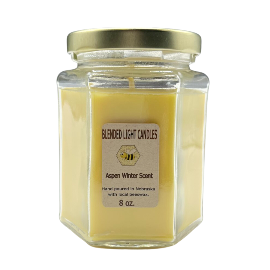 Aspen Winter Scented Candle | Multiple Sizes | Blended Light
