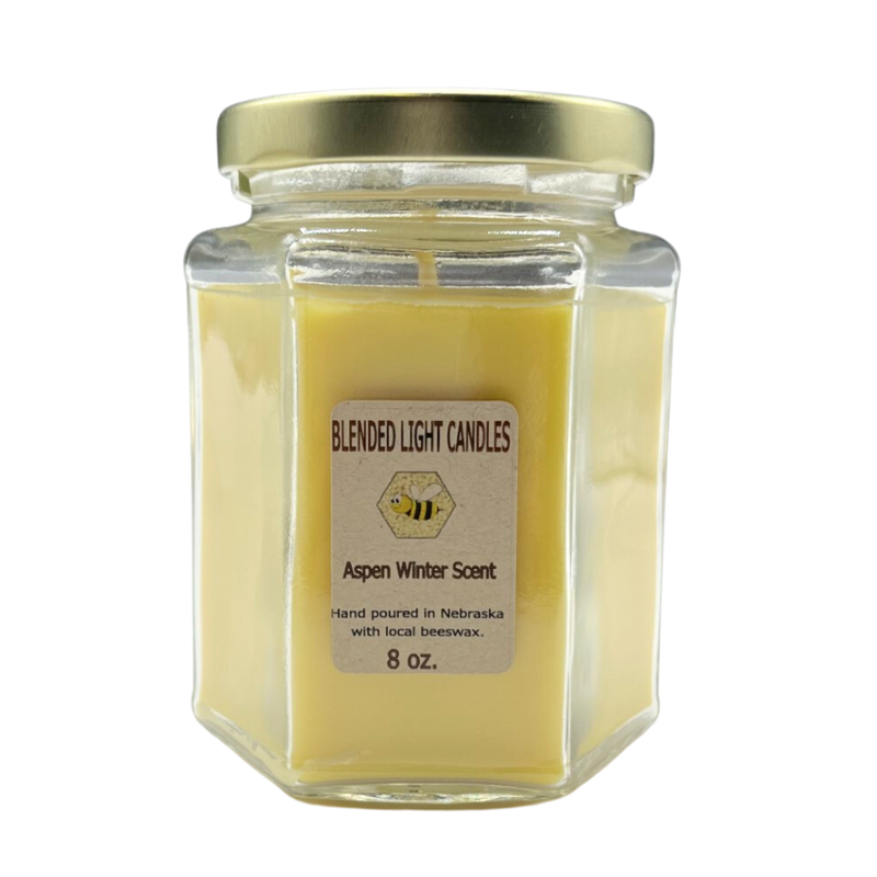 Aspen Winter Scented Candle | Multiple Sizes | Blended Light