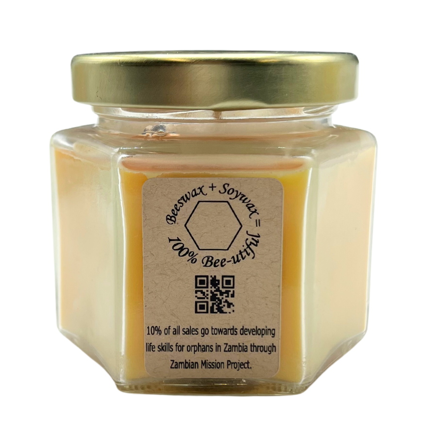 Aspen Winter Scented Candle | Multiple Sizes | Blended Light
