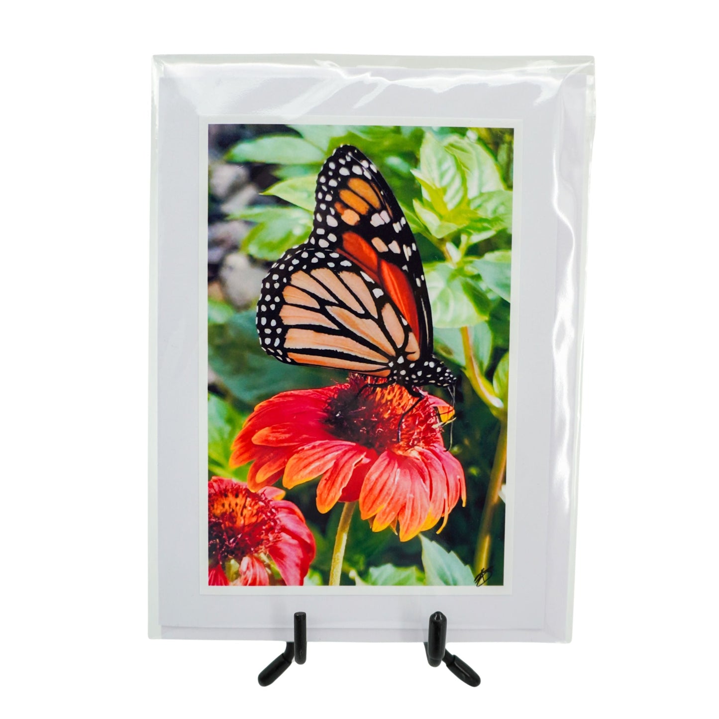 White Greeting Card | Multiple Designs | KJ Made