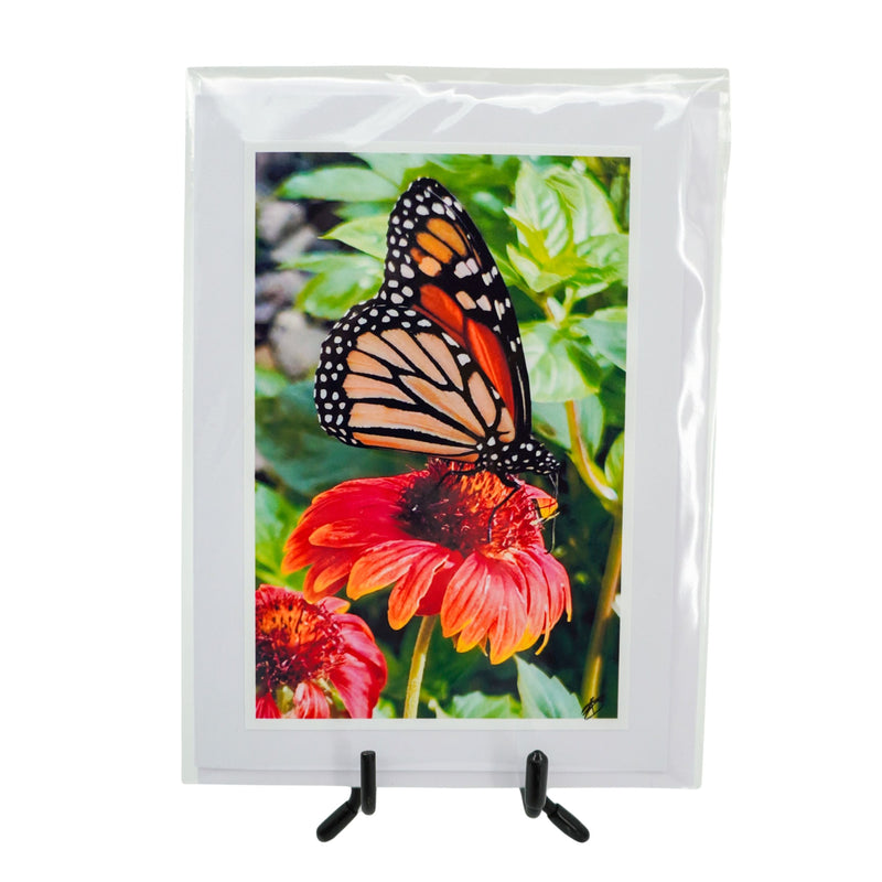 White Greeting Card | Multiple Designs | KJ Made