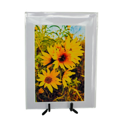 White Greeting Card | Multiple Designs | KJ Made