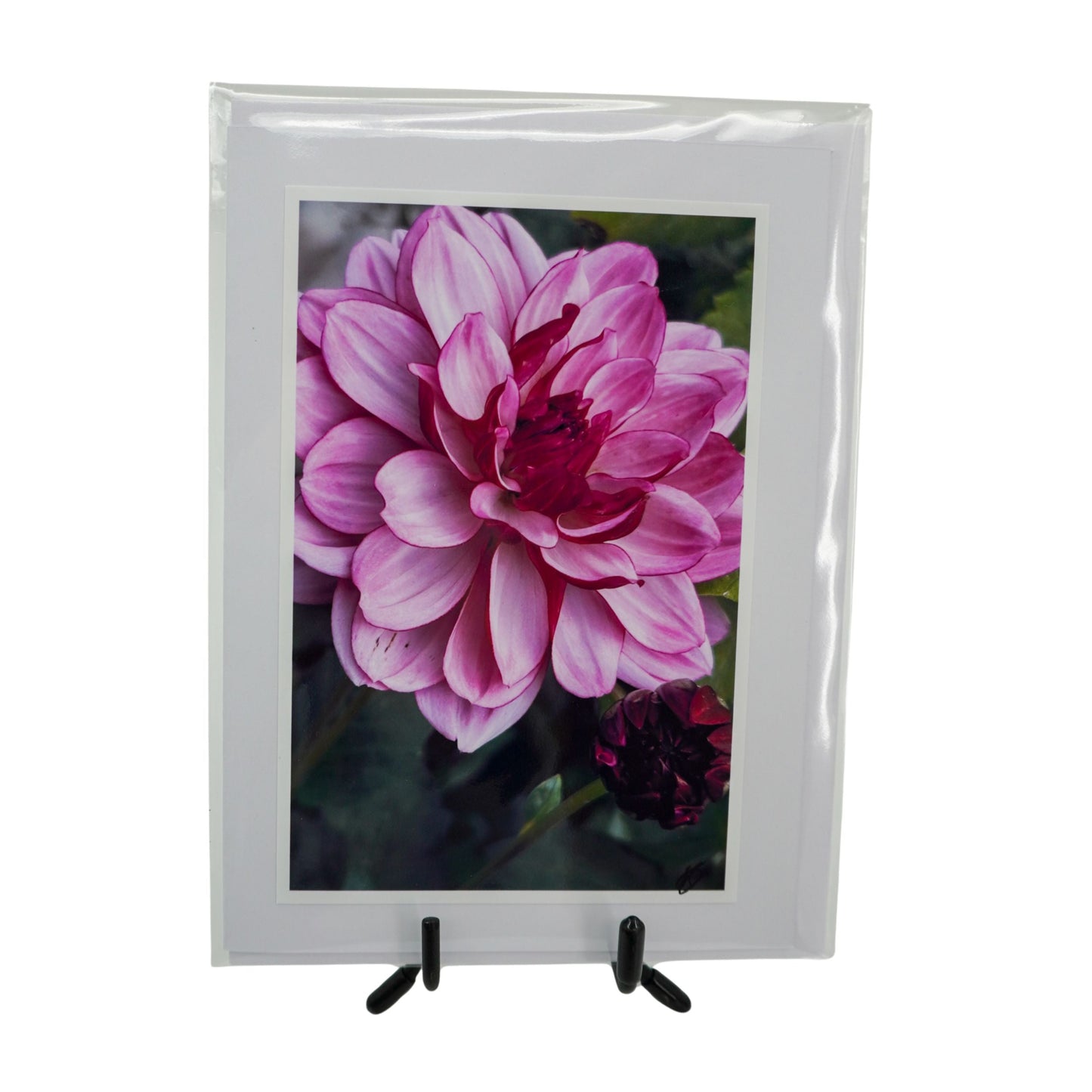 White Greeting Card | Multiple Designs | KJ Made