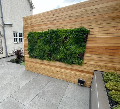 Sample Panel – Country Fern Vertical Garden (Small Sample)