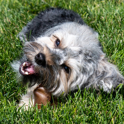 Cow Ear Dog Treat | Rowdy's Top Dog