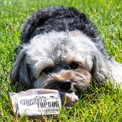Cow Ear Dog Treat | Rowdy's Top Dog