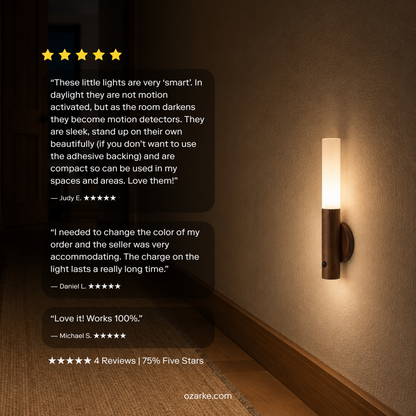 Motion Sensor Battery Light