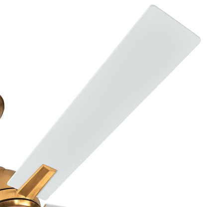 48" Linden DC Motor Downrod Mount Reversible Ceiling Fan with Lighting and Remote Control