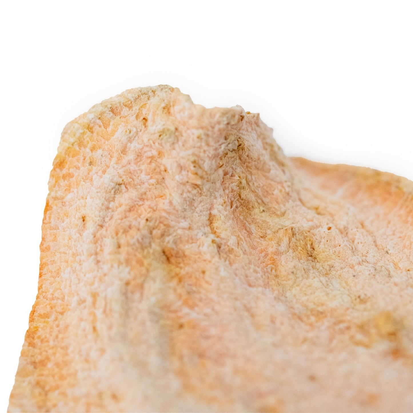 Sweet Potato Dog Chips | 5 oz | Dogalicious