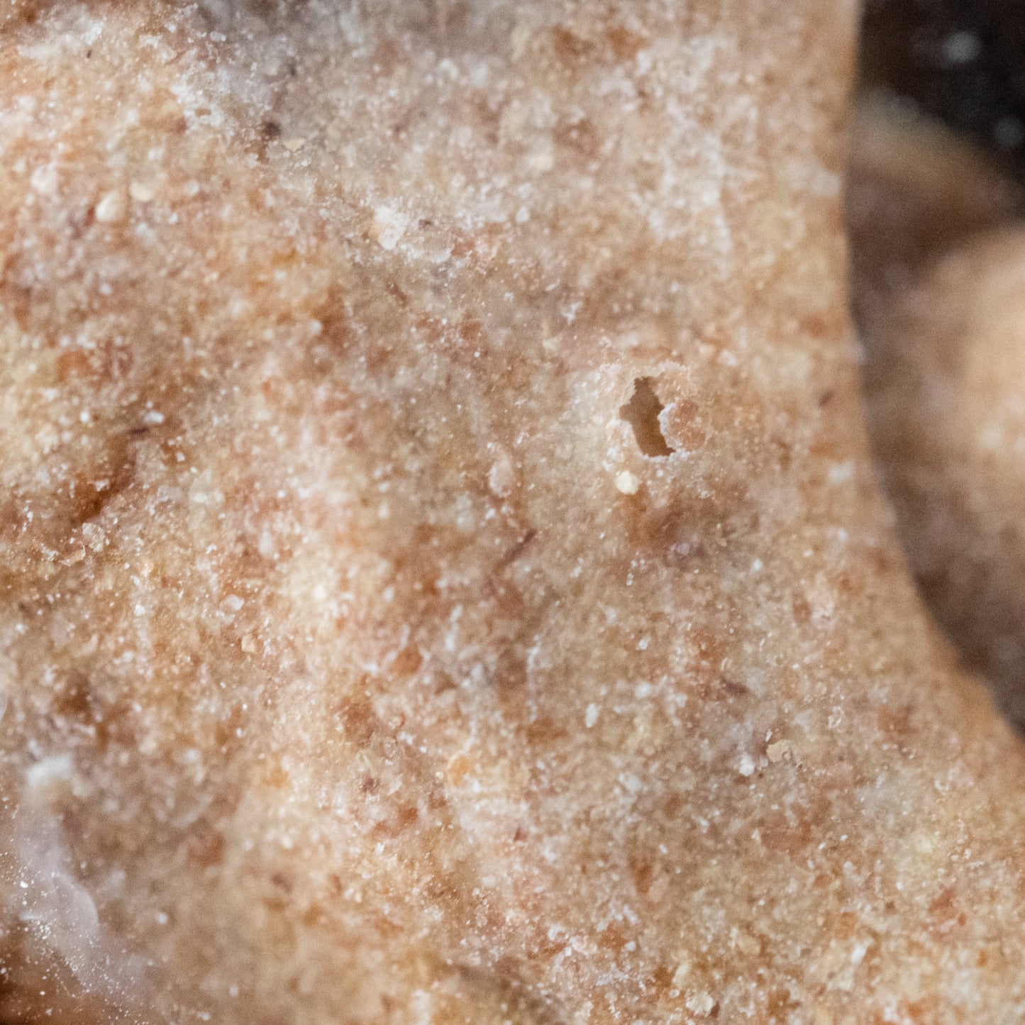 Bag O' Bones Peanut Butter & Honey Dog Biscuits | 20 Biscuits | Dogalicious