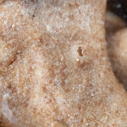 Bag O' Bones Peanut Butter & Honey Dog Biscuits | 20 Biscuits | Dogalicious