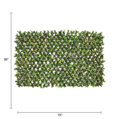 Ligustrum Ficus Expandable Artificial Trellis Privacy Screen – UV Resistant