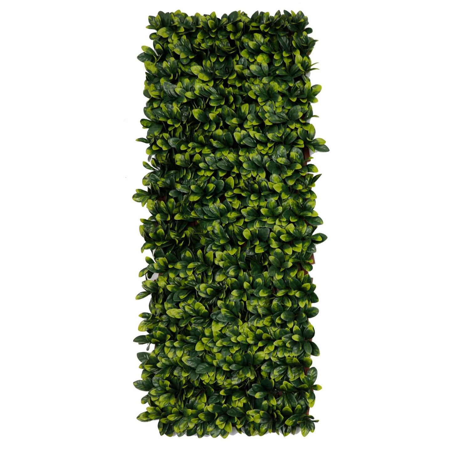 Ligustrum Ficus Expandable Artificial Trellis Privacy Screen – UV Resistant