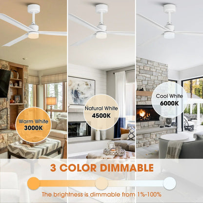 50 Inch Rae Modern Downrod Mount LED Ceiling Fan with Remote Control