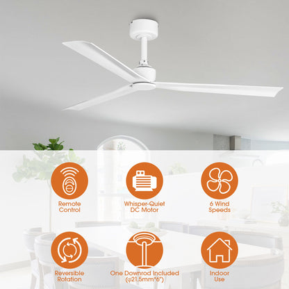 50 Inch Erica Modern Downrod Mount Ceiling Fan with Remote Control