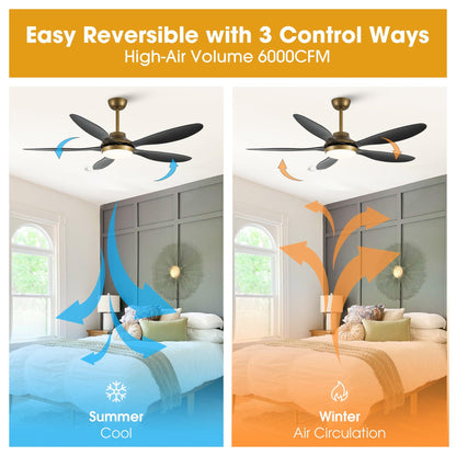 52" Punjab Smart Fan with LED Light
