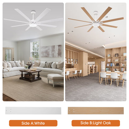 65 Inch Teresa Modern Double-sided Blades Ceiling Fan with Remote Control and LED Light