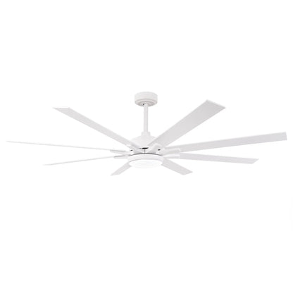 65 Inch Teresa Modern Double-sided Blades Ceiling Fan with Remote Control and LED Light