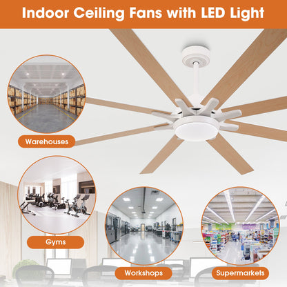 65 Inch Teresa Modern Double-sided Blades Ceiling Fan with Remote Control and LED Light