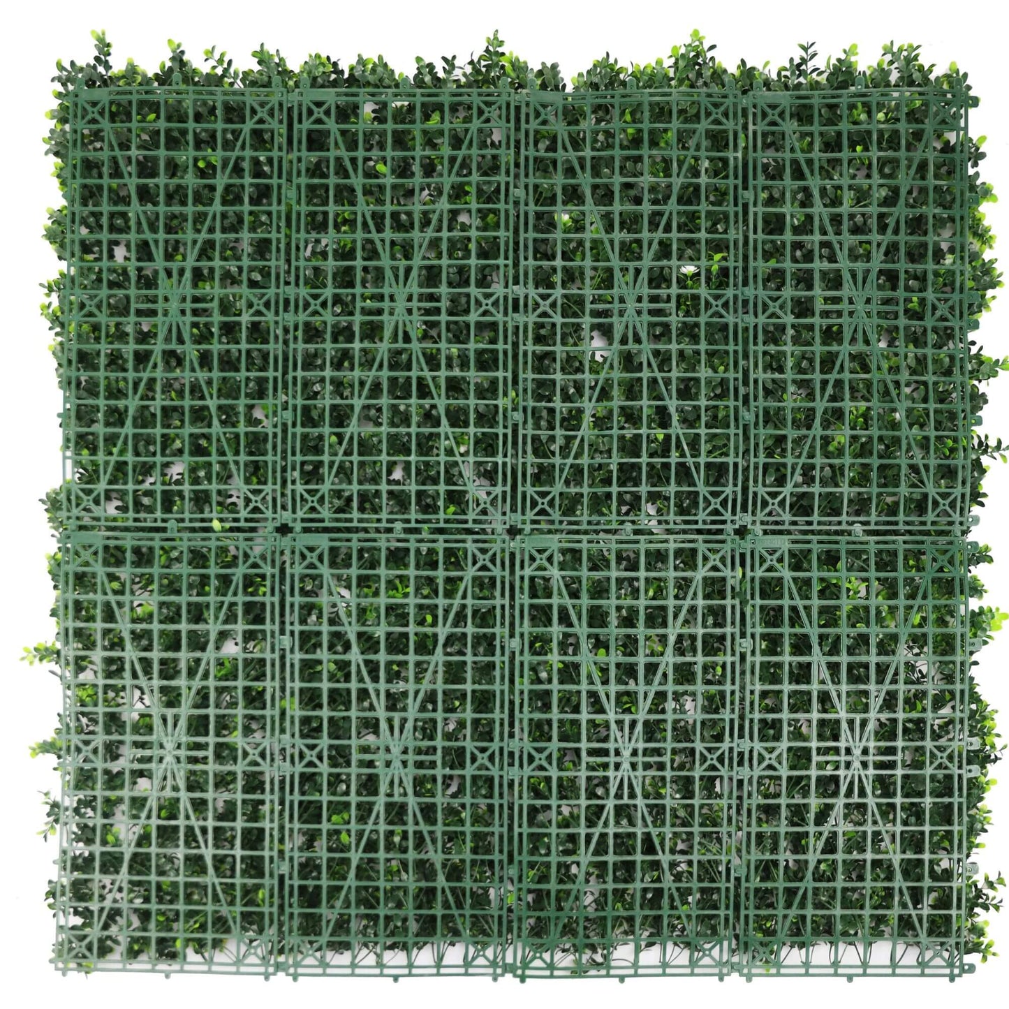 Sample Panel – White Flowering Boxwood Green Wall (Small Sample)