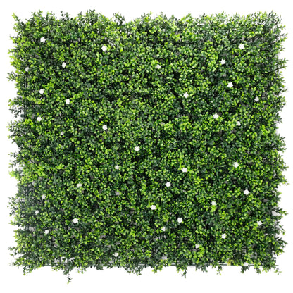 Sample Panel – White Flowering Boxwood Green Wall (Small Sample)