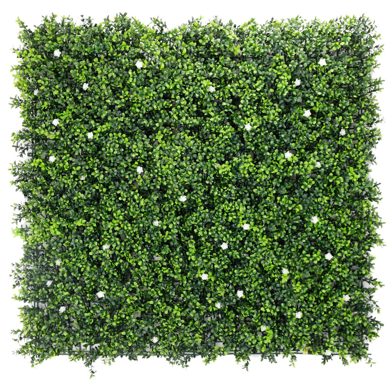 Sample Panel – White Flowering Boxwood Green Wall (Small Sample)