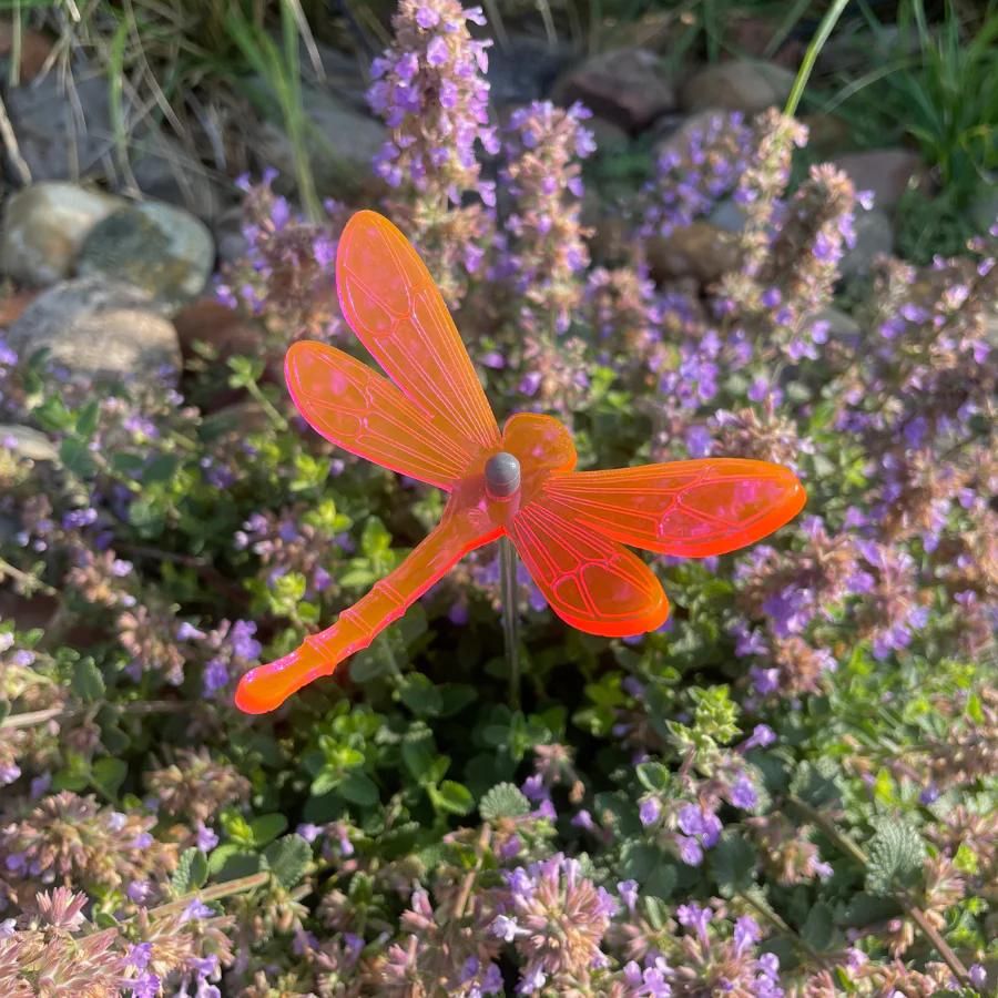 Small Garden Dragonfly | Multiple Colors | Glowing Creation