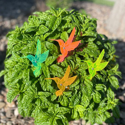 Garden Hummingbird Yard Decor | Variety 4 Pack | Shipping Included | Glowing Creation