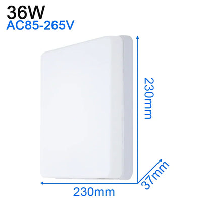 DecorBites™ LED Ceiling Light: Modern Ultra-thin Panel, 6-48W, Surface Mounted for Living Room