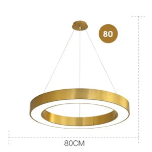 ™ Gold Copper Pendant Lights Nordic LED Hanging Lamp Modern Circle Ring Suspension