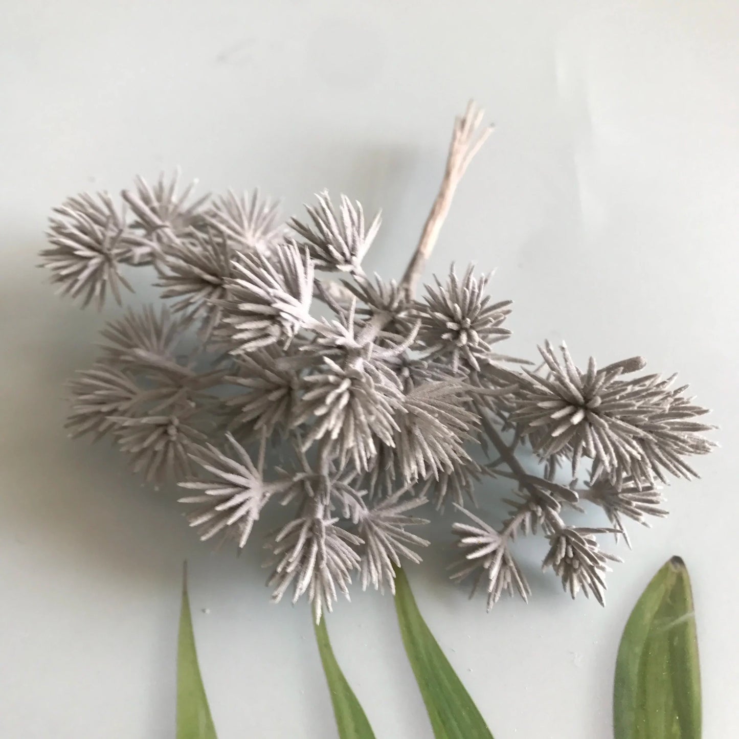 DecorBites™ 6pcs Dried Flower Mix for Jewelry Making & Aromatherapy Candle Crafts