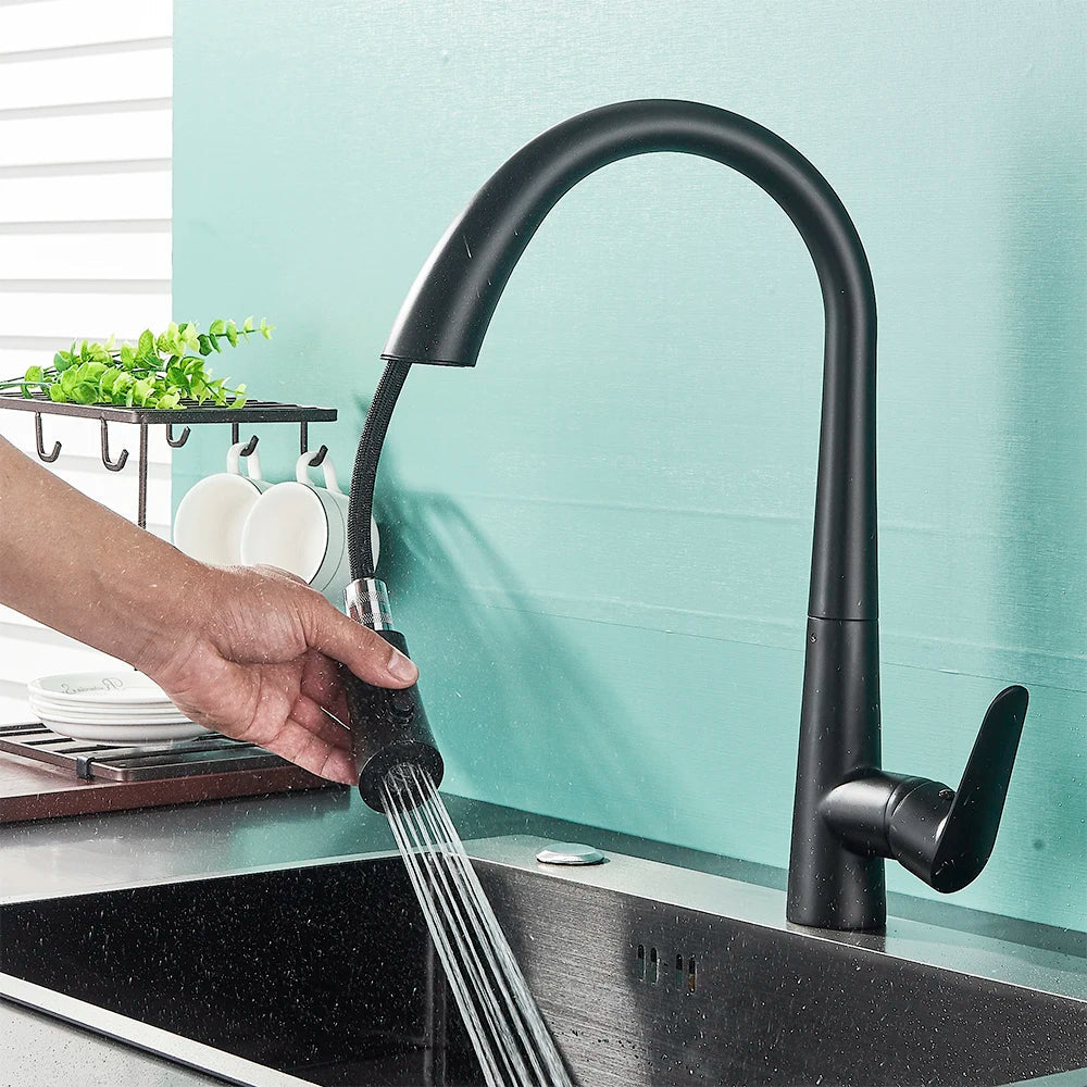 DecorBites™ Black Kitchen Faucet Single Handle Pull Out Hot Cold Water Mixer Tap