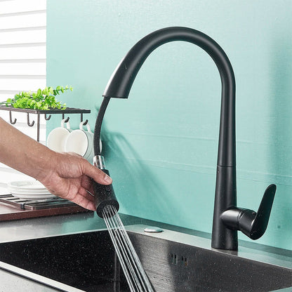 DecorBites™ Black Kitchen Faucet Single Handle Pull Out Hot Cold Water Mixer Tap