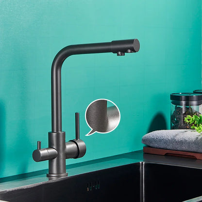 DecorBites™ Black Kitchen Faucet with Rotatable Water Purification Feature