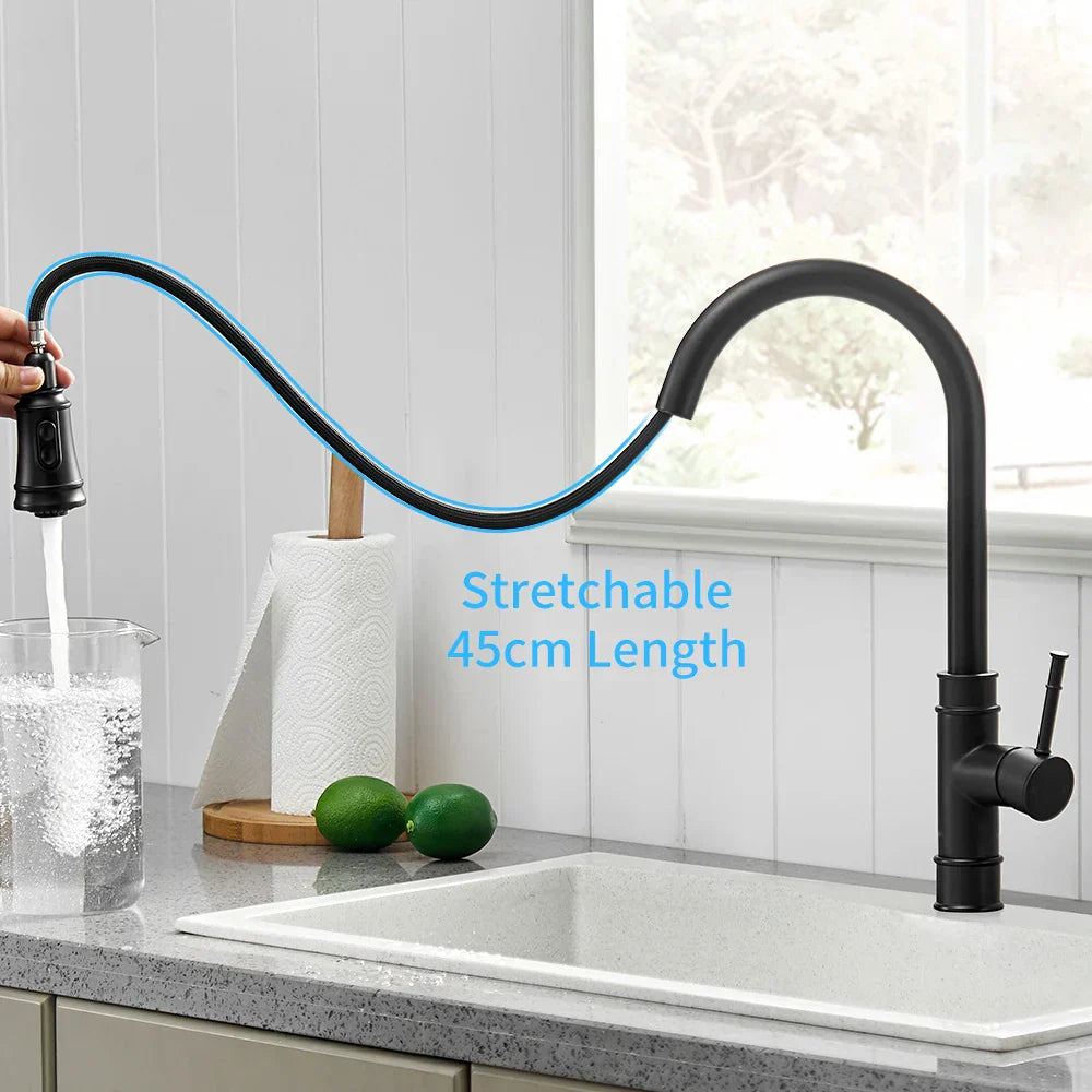 DecorBites™ Black Single Handle Pull Out Kitchen Faucet Swivel 360° Water Mixer Tap