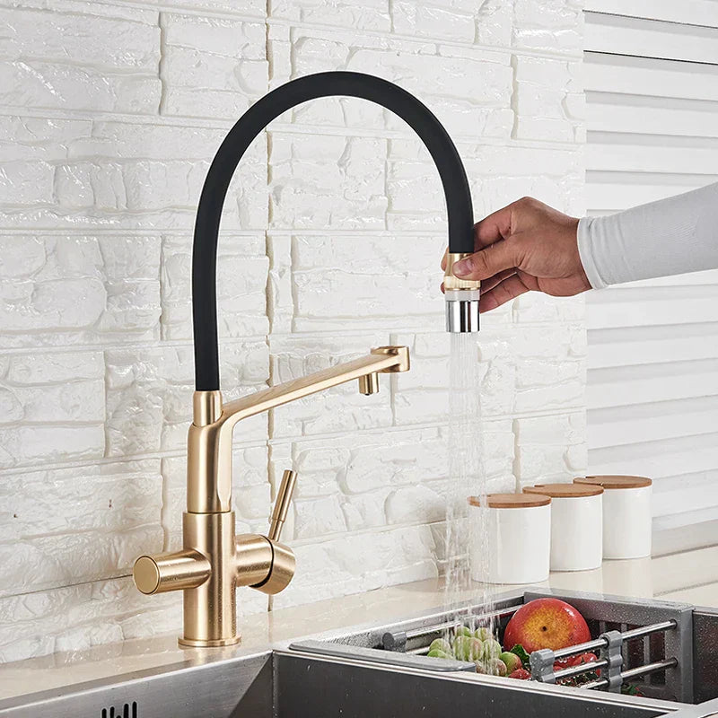 DecorBites™ Brushed Gold Swivel Kitchen Faucet with Purification Function