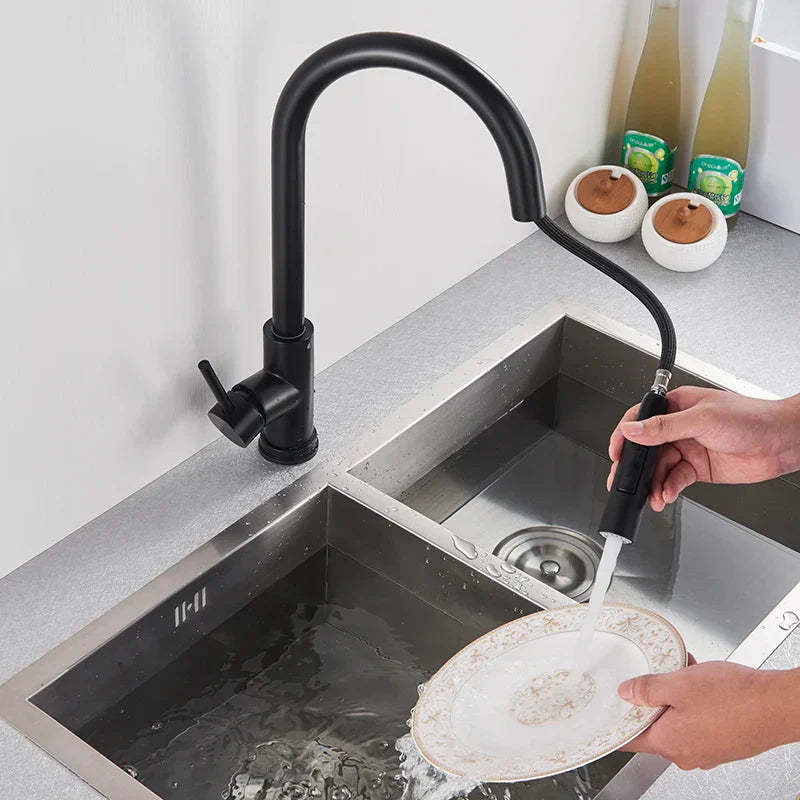 DecorBites™ Black Kitchen Faucet: Single Handle Pull Out Mixer, Two Function Hot and Cold Water Taps