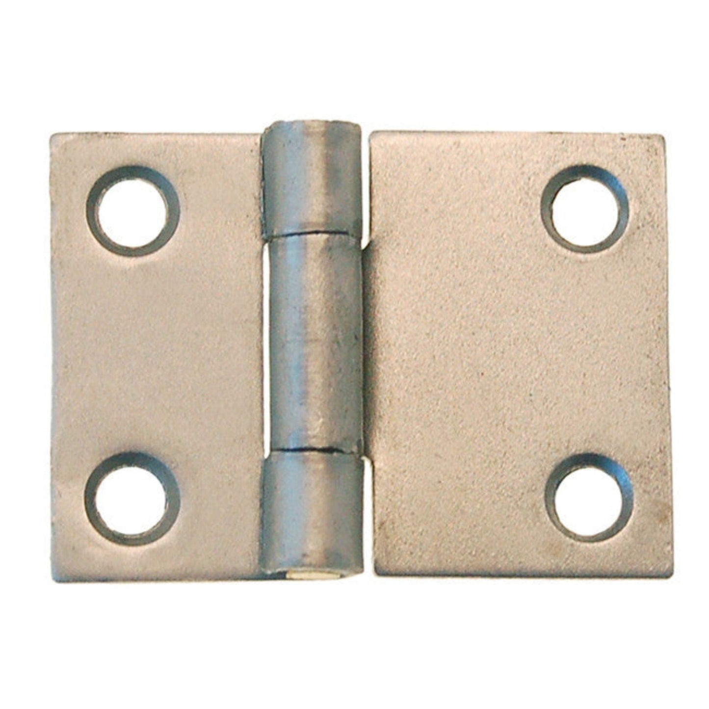 Butt Hinge, Polished Steel
