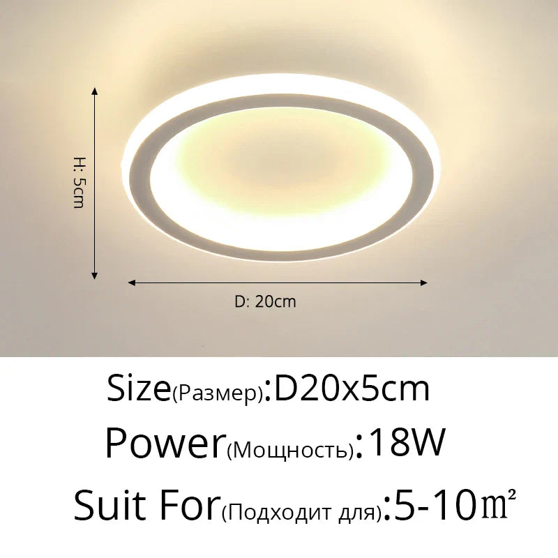 DecorBites™ Black Led Ceiling Light for Home Entryway - Modern Balcony Indoor Lamp